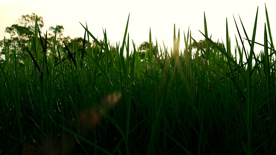 Realistic Grass preview image 1